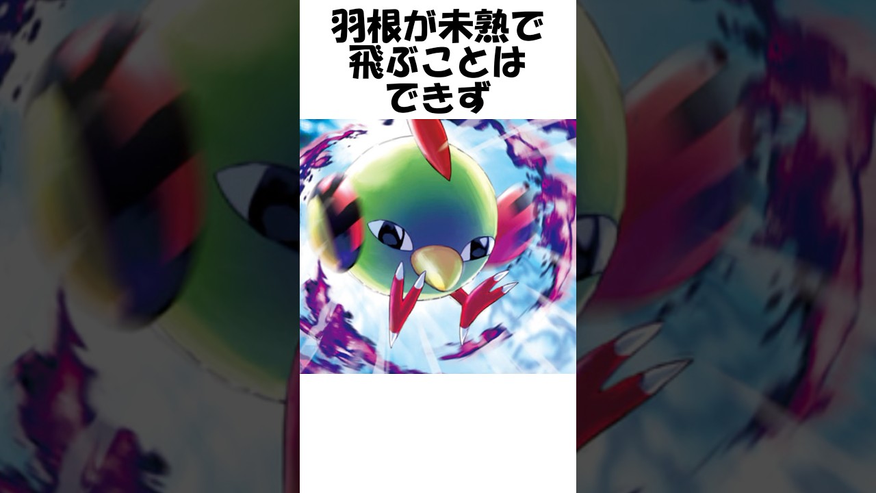 【ポケモン】ビッグアイ #Shorts