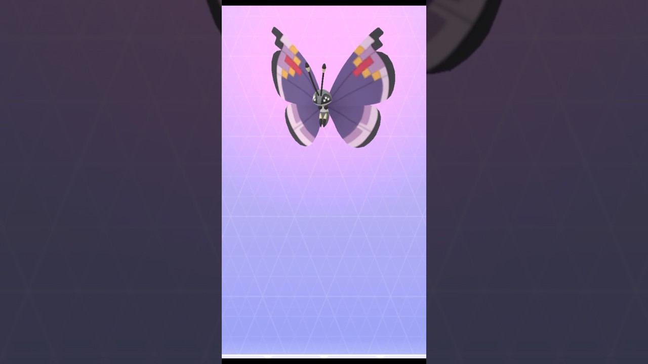 【 ポケモンgo 】 コフーライ（みやび）→ ビビヨン （ みやびなもよう ）！【 うさぴよの巣 】#spewpa #vivillon #elegant