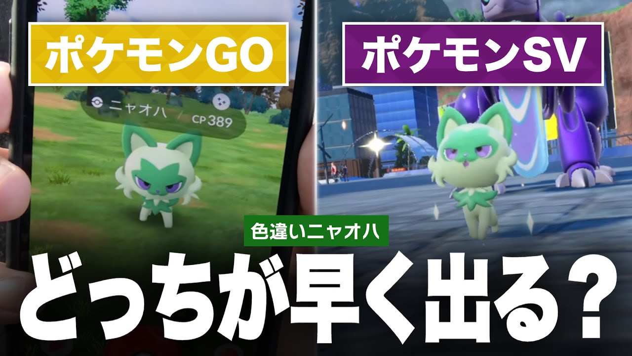 【検証】早く色違い「ニャオハ」を出せるのはどっち!?【ポケモンSV/ポケモンGO】