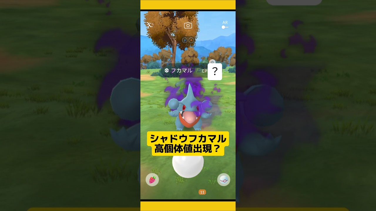 シャドウフカマル高個体値？ダンバルも2連続チャレンジ〜#ポケモンgo #ロケット団 #シャドウポケモン #フカマル #ダンバル #pokemongo #新道ひかり