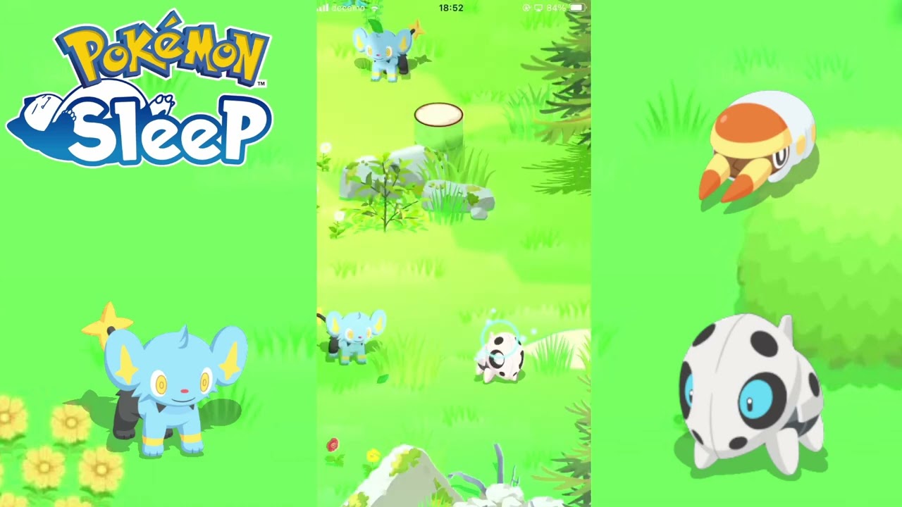 ほぼ理想個体ココドラゲット[ #ポケモンスリープ ]