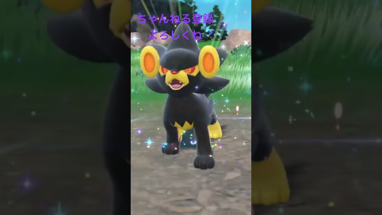 色違いルクシオ進化！