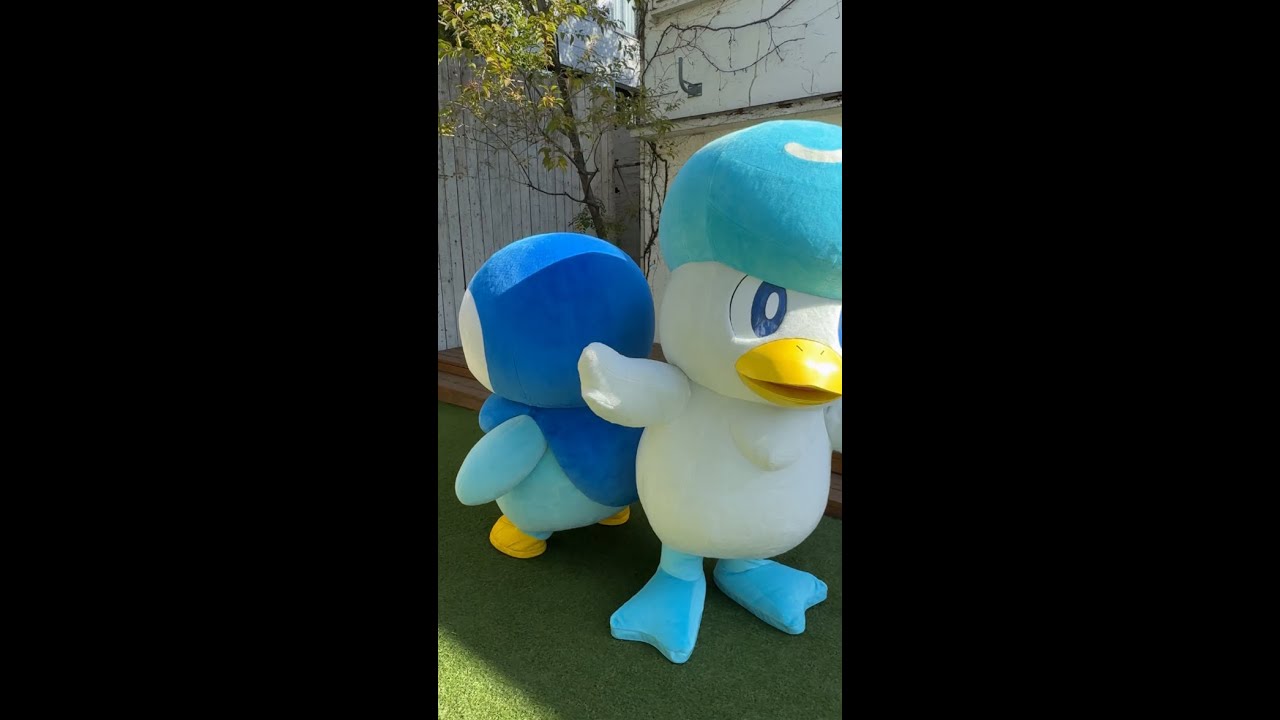 【公式】ポッチャマとクワッスが楽しくダンス!?