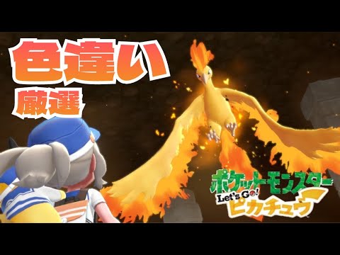 【色違い厳選】ファイヤー166回目～＠ピカブイ＆レジロック376回目