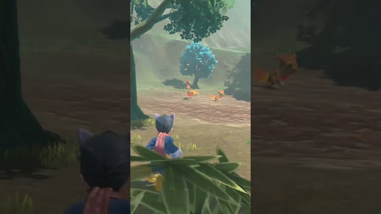 いずれは孫悟空？色違いヒコザル親分【ポケモンレジェンズアルセウス】#shorts #ポケモン #色違い #色違い厳選