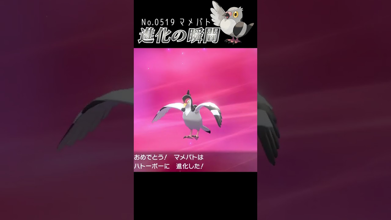 【ポケモン剣盾】マメパト 進化の瞬間 #shorts