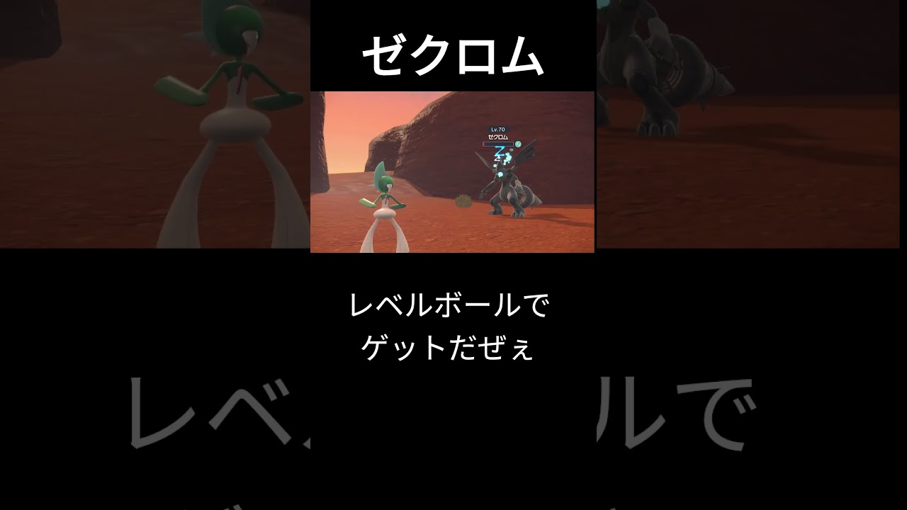 【ポケモンSV】ゼクロム  レベルボールでゲットだぜぇ！ #ポケモン #ポケモンsv ＃ゼクロム ＃伝説ポケモン