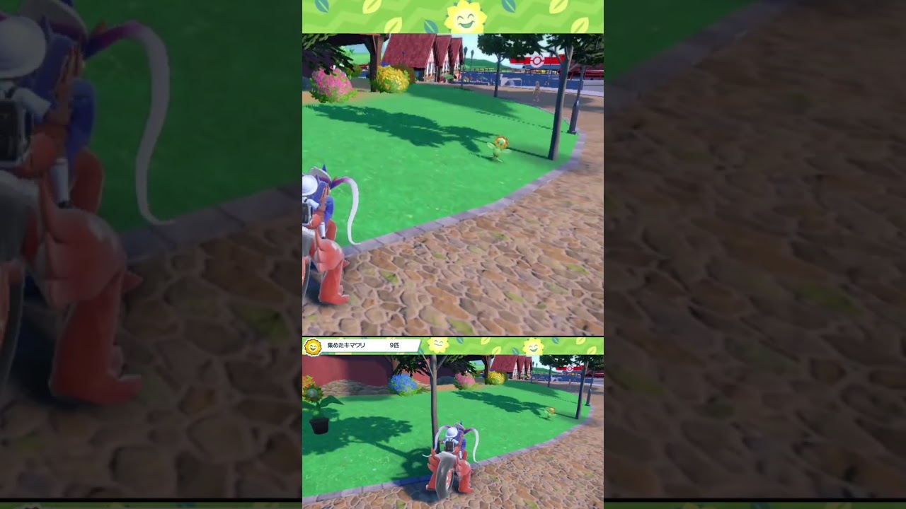 キマワリ としては逃げ切ったつもりなんですけどね #shorts #ポケモンsv #碧の仮面 #碧の円盤