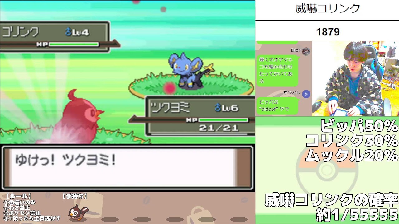 🔴【朝雑談】特性いかく色違いコリンクを捕まえたい！【色違いの旅~たたかう禁止ポケセン封鎖~5日目】