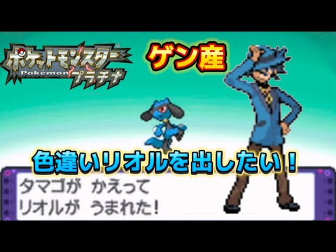 ポケモンプラチナ ゲンのリオル厳選