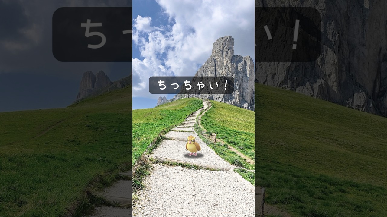 【ポケモンGO】ちっちゃい！15cmポッポ♫ #ポケモンgo #ポケモン #pokemon