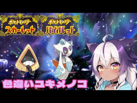 【ポケモンSV】色違いユキワラシ → ユキメノコ【ポケットモンスタースカーレットバイオレット】