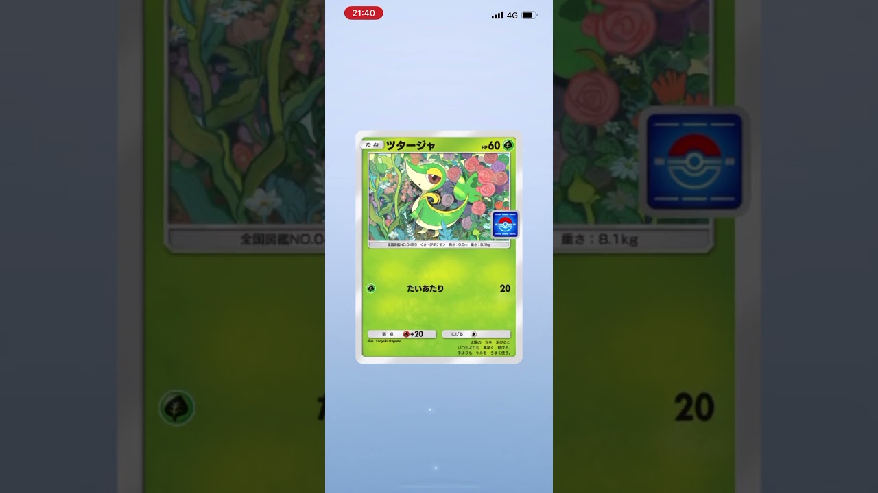 （ポケポケ）カメックスプロモ開封4連打ぁあ！！ツタージャしか使わんかも#ポケポケ開封 #ポケポケ開封チャレンジ