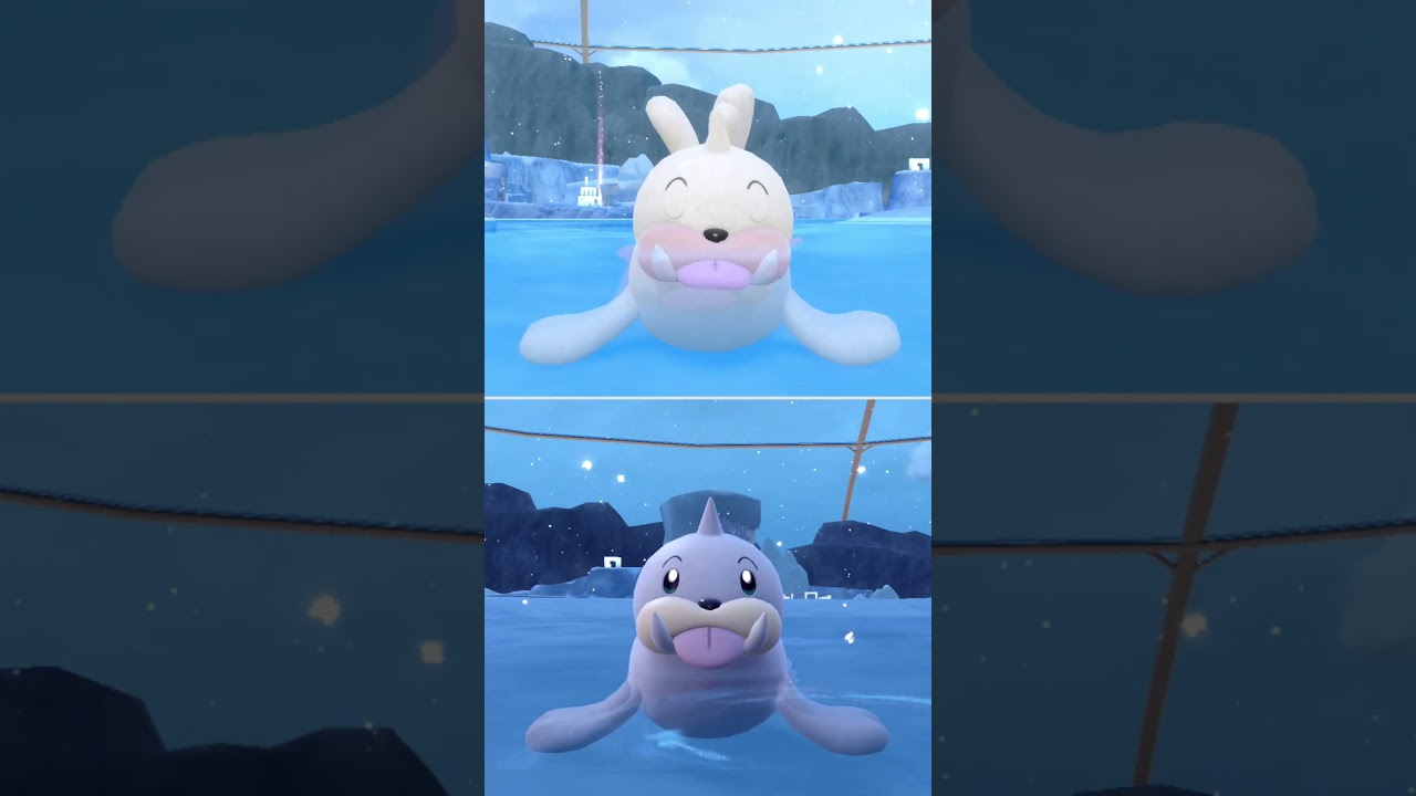 #パウワウ  #ポケモン  #seel  #pokemonscarletandviolet