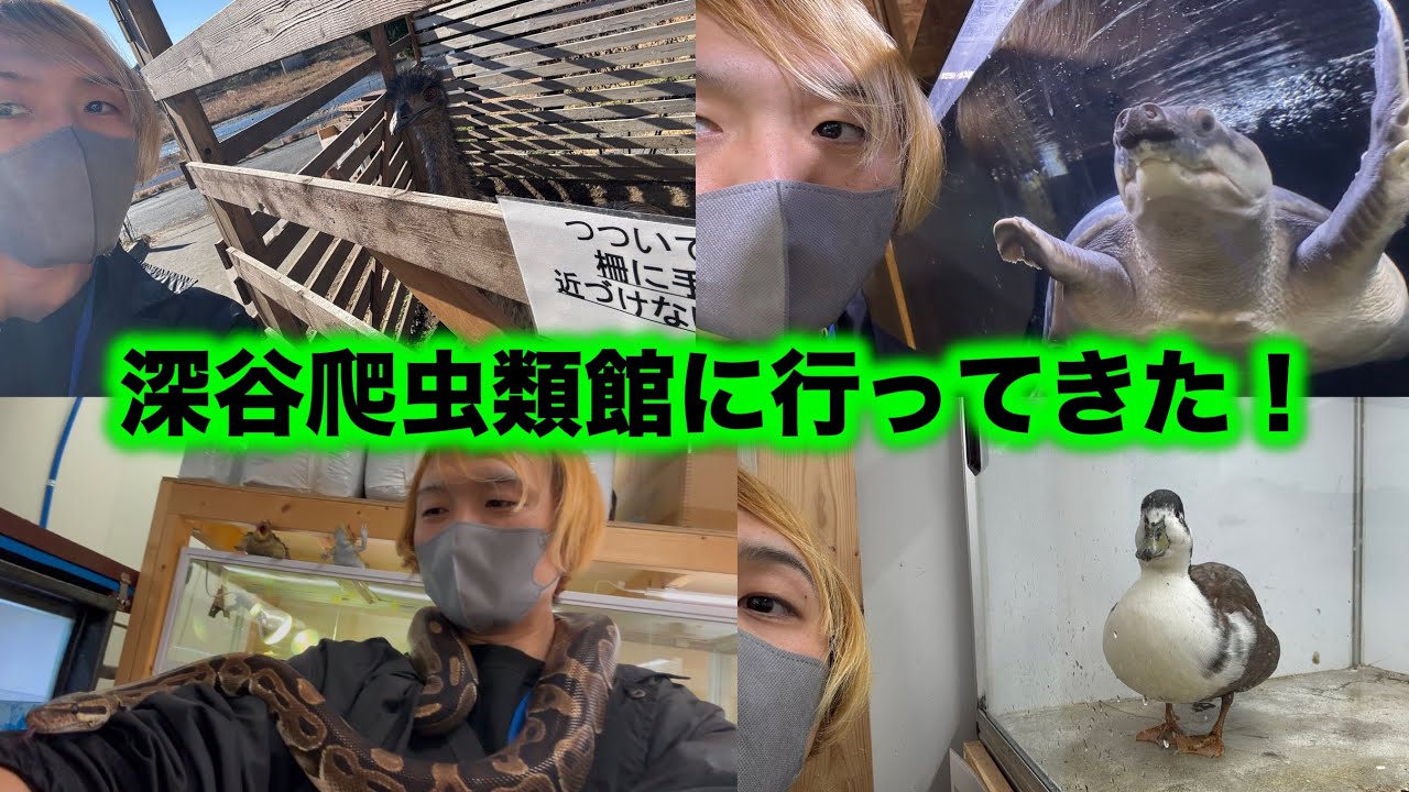 深谷爬虫類館へ行ってきた！