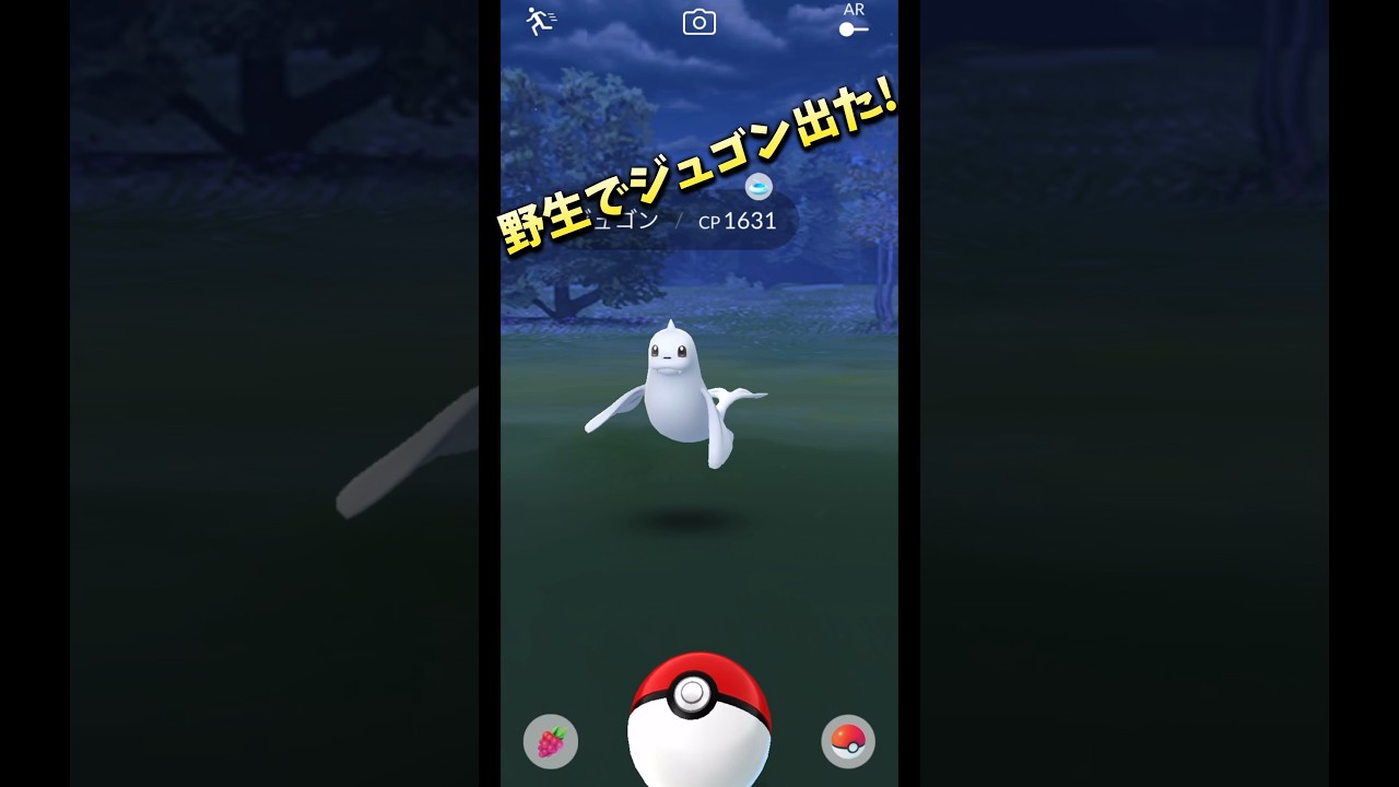 ジュゴンが野生で出るのはレア!?嬉しい☺️【ポケモンGO】