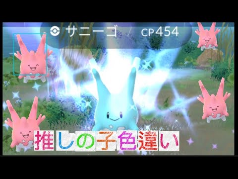 色違いサニーゴ発見#ポケモンgo #色違い #サニーゴ