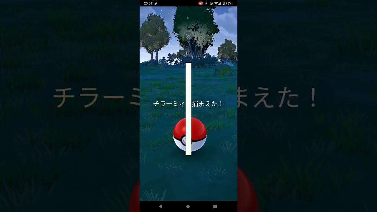 色違い眼鏡チラーミィとの出会い→チラチーノへ進化 #ポケモン #ポケモンgo #チラチーノ #チラーミィ