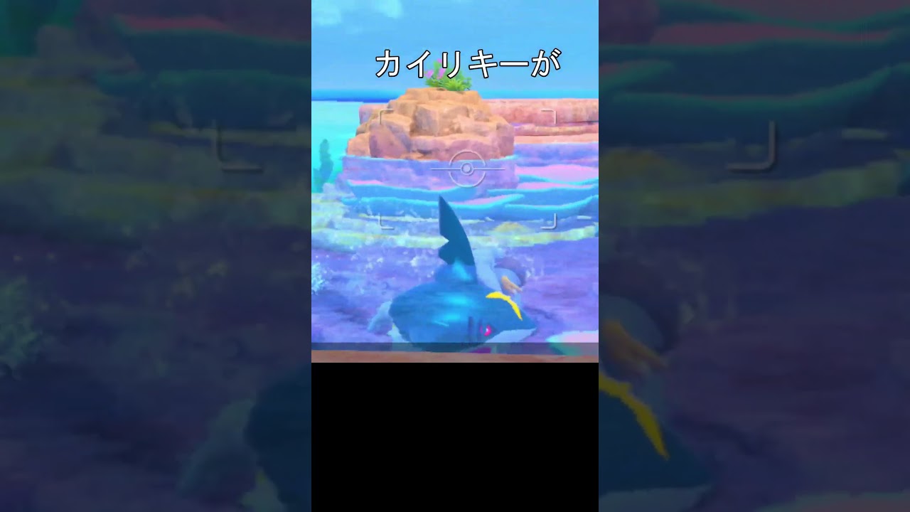 サメハダー vs カイリキー　泳ぎ対決　#ポケモン #ポケモンスナップ #サメハダー　#カイリキー