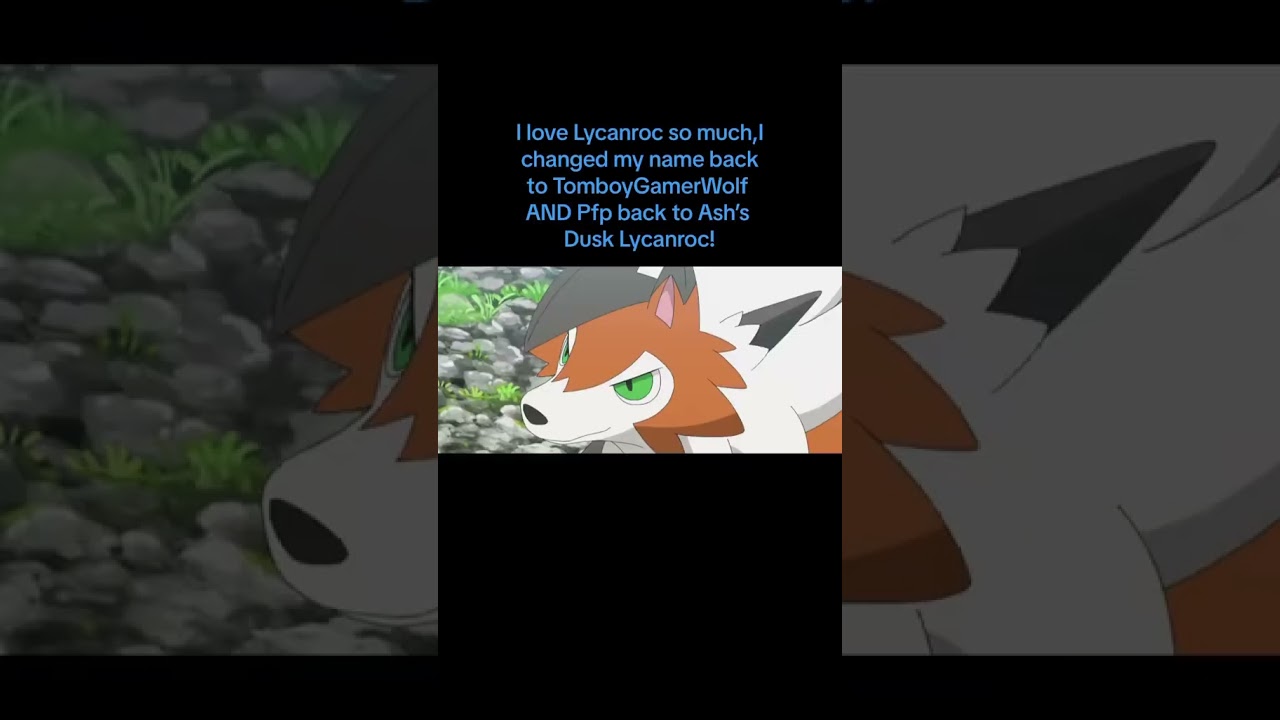 WHY I love Rockruff and Lycanroc and why they’ve become my FAVORITE  Pokémon that I’m OBSESSED with