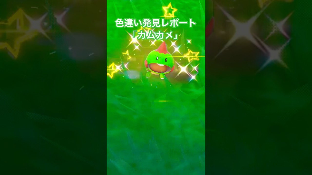ポケモンSV 色違い発見レポート「カムカメ」 #色違いポケモン #ポケモンsv
