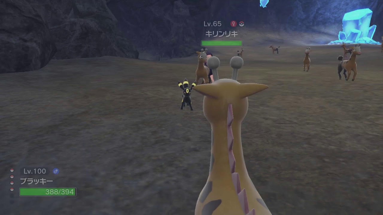 色違いキリンリキのりせいのあかし個体を探す 話し相手募集