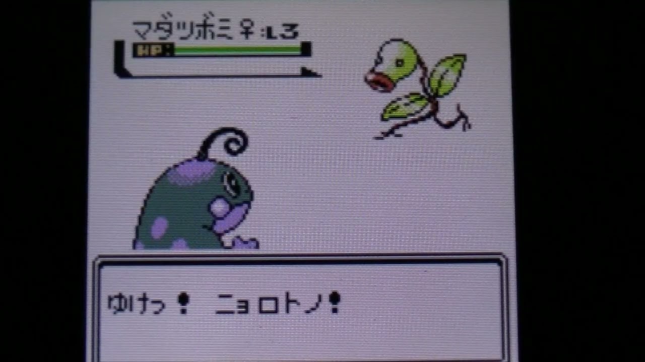 ポケットモンスター 金色違いニョロトノ1匹旅縛り実況動画１