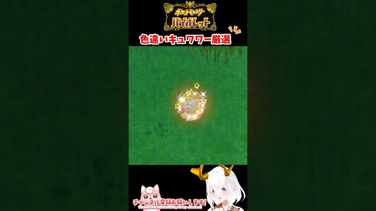 #ポケモンsv 色違いキュワワー出現シーン