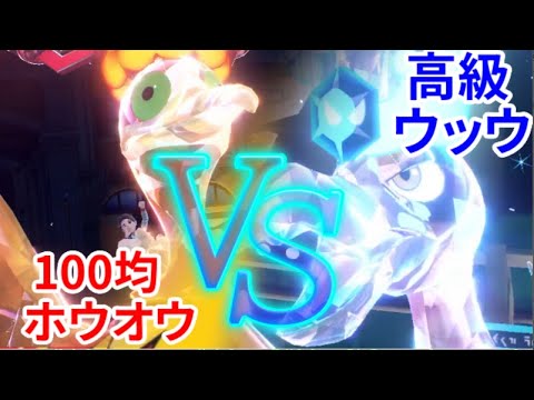 【検証】100均のホウオウと高級ウッウってどっちが強いの！！？？【ポケモンSV】