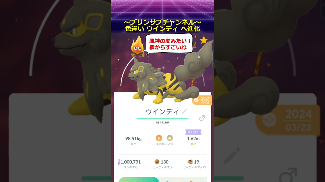 🐲色違い進化🐦ガーディ から ウインディ ポケモンgo with 茅原実里 / Paradise Lost #ウインディ #ガーディ #pokemongo #茅原実里 #paradiselost