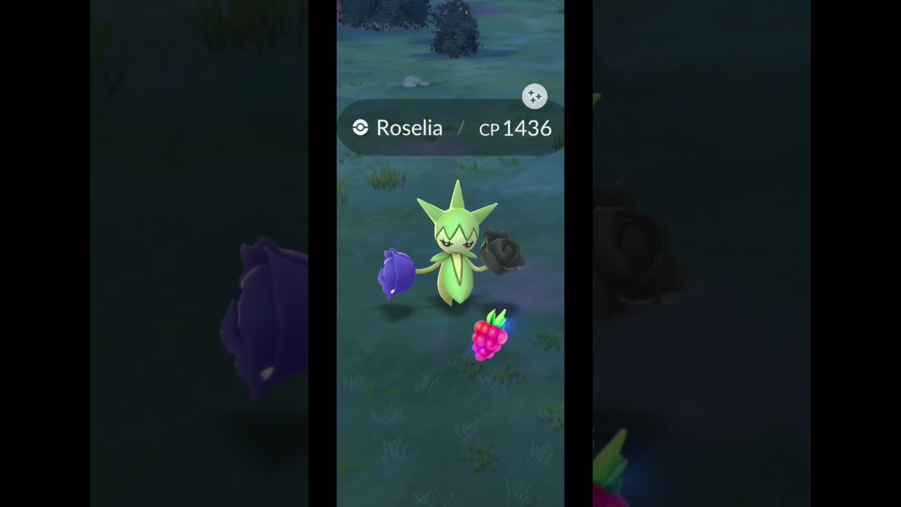 I got roselia shiny ✨ in Pokemon Go #pokemon #pokmongo #ポケモンgo