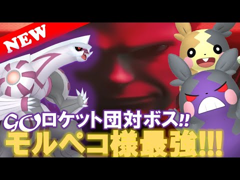 【ポケモンGO】GOロケット団リーダーボス・サカキ攻略法!!!「サカキ様をモルペコだけで倒す私🤣ｗ」【ファッションウィーク2025：占拠】【Pokemon Go!】