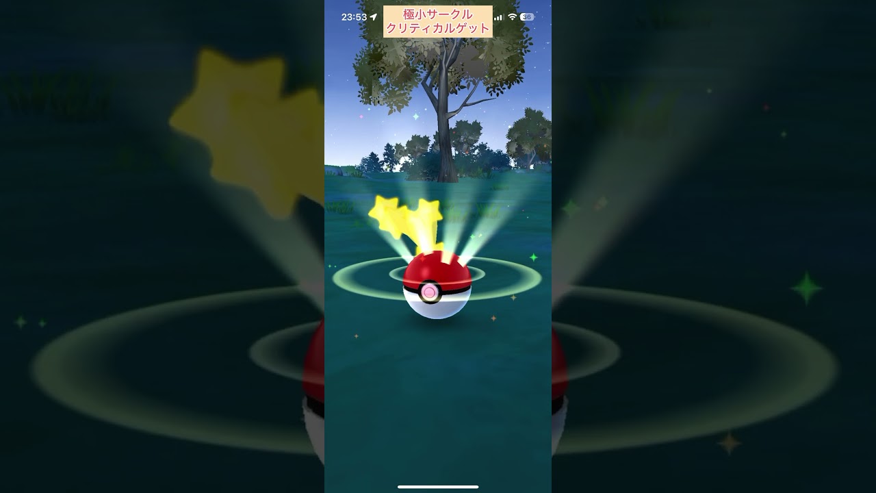 【難易度低】色違いサングラスアブソル極小サークルクリティカルゲット【ポケモンGO】