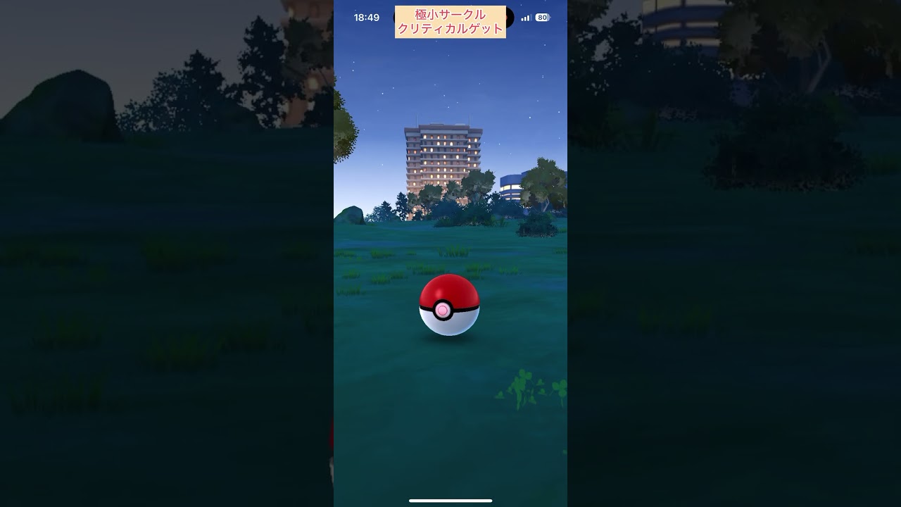 【難易度高】ニット帽子ウパー極小サークルクリティカルゲット【ポケモンGO】