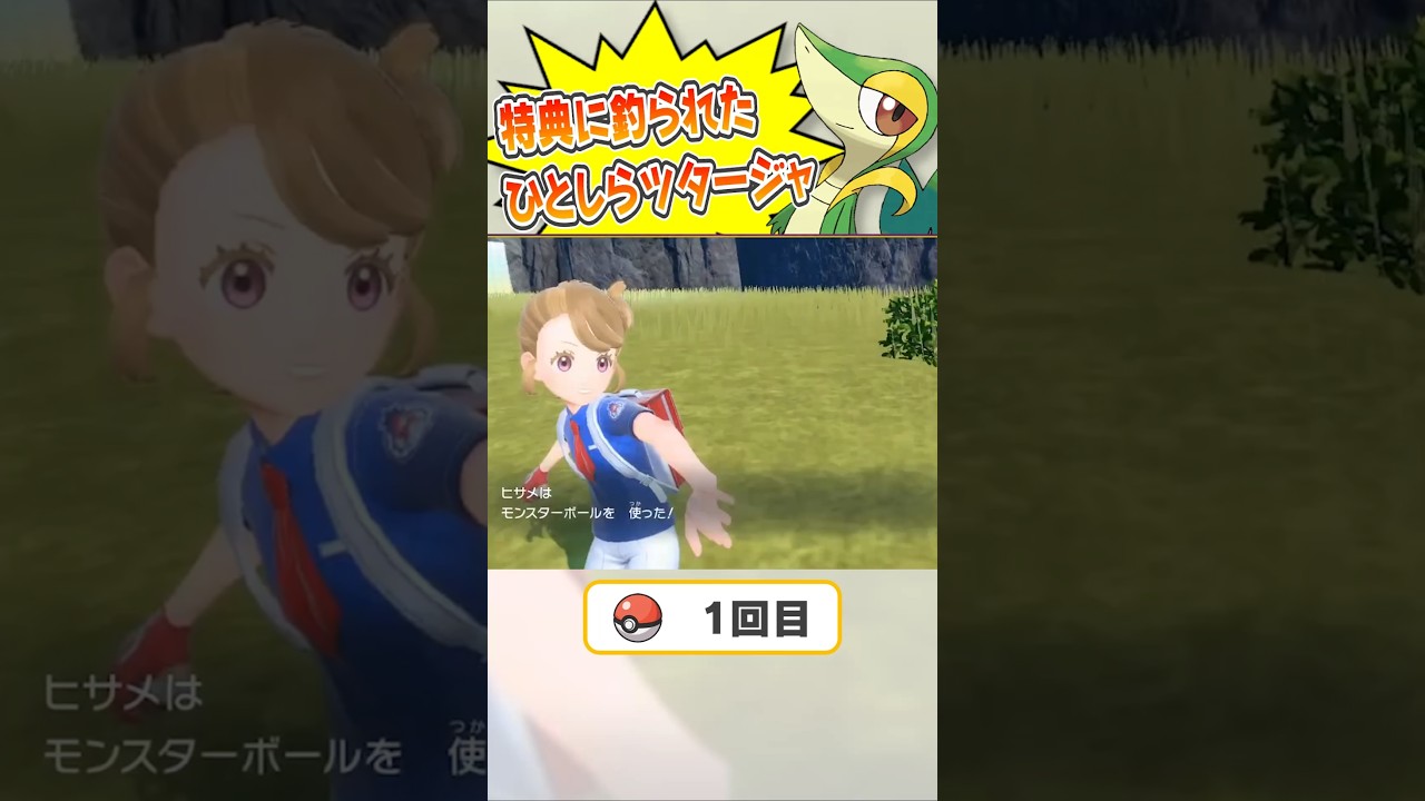 巳年ツタージャひとしら厳選 #ポケモンsv #ツタージャ