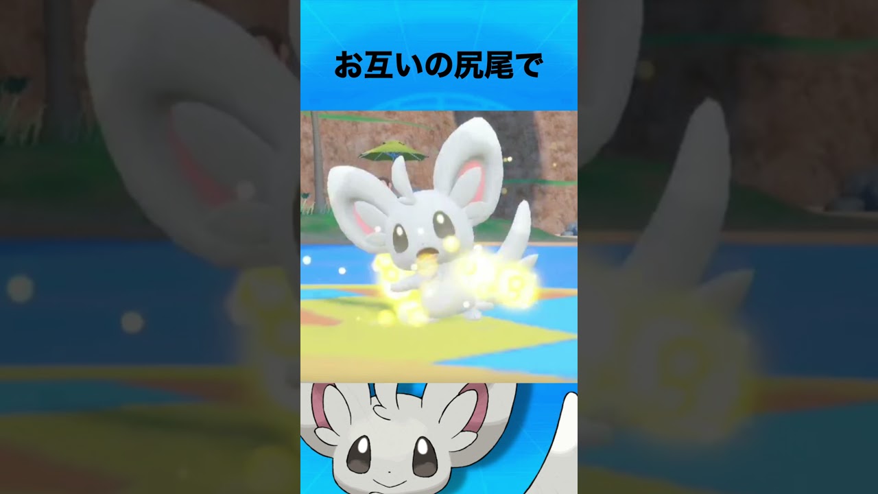 チラーミィについて #ポケモン #チラーミィ