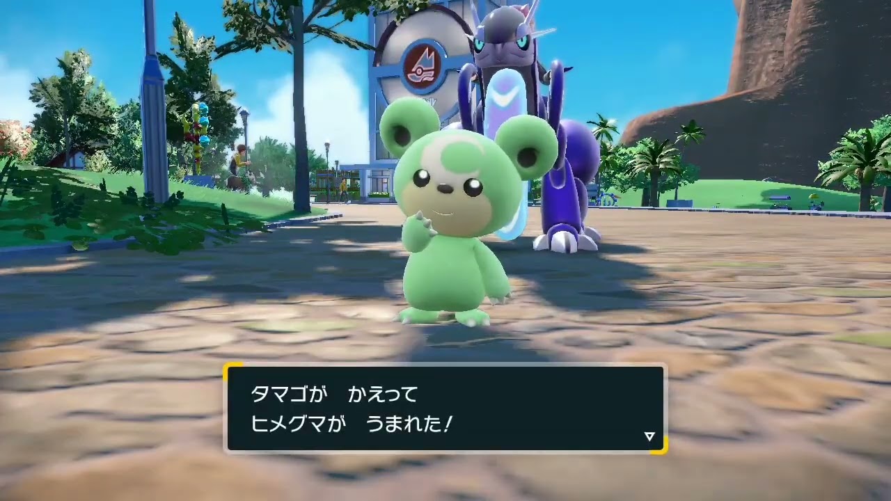 色違いヒメグマ進化【SV✨LEGENDSアルセウスコラボVersion】ヒメグマ、リングマ、ガチグマ