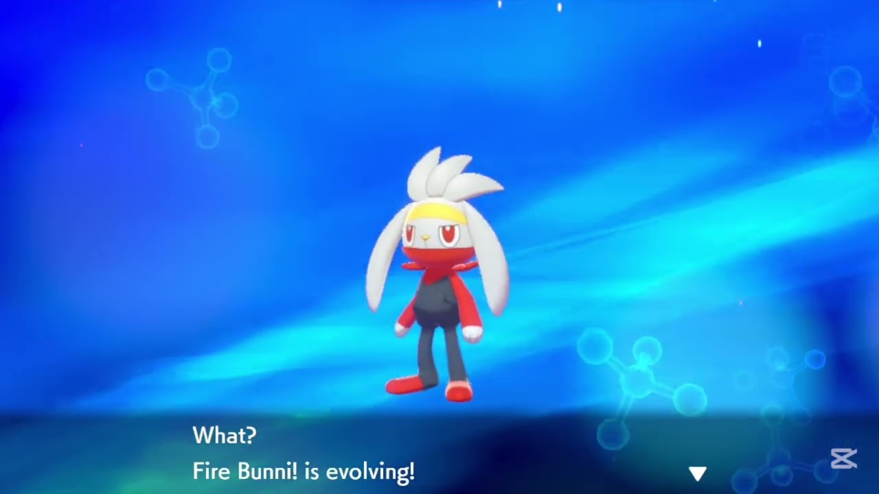 Evolving my Raboot into Cinderace on Pokemon Shield!