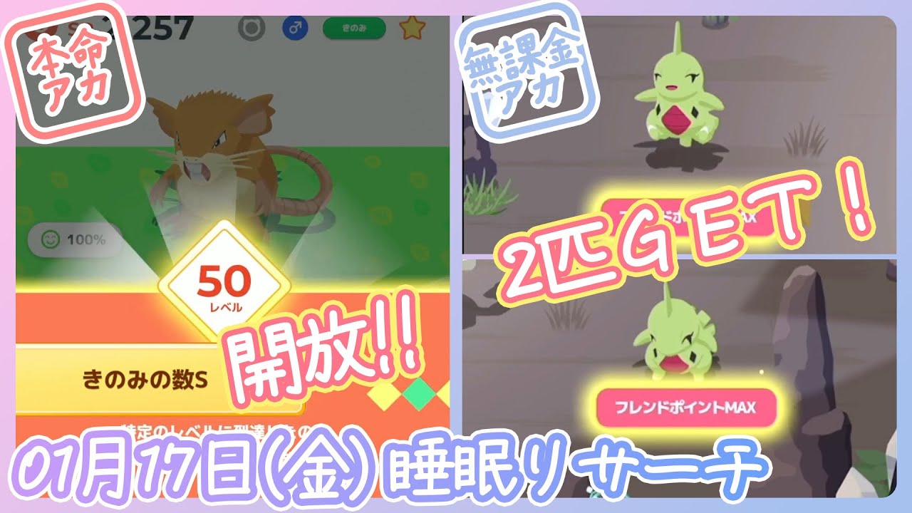 【01/17(金)睡眠リサーチ】祝！ラッタ強化&きのみS開放！！！【ポケモンスリープ】