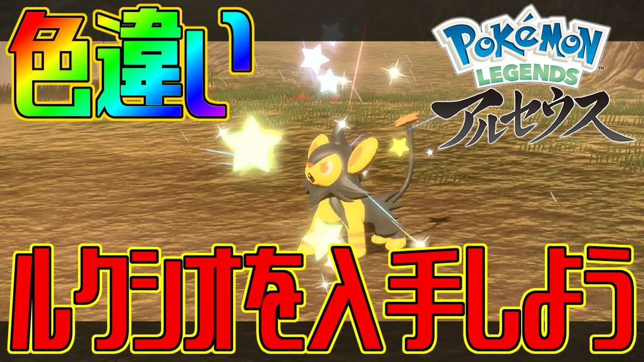 【ポケモンアルセウス】色違いルクシオを入手しよう【Pokémon LEGENDS アルセウス】