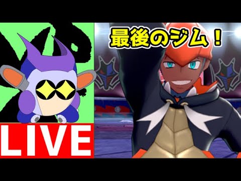 ポケモン盾！　その６　幸運のビブラーバ（元ナックラー）よ！　フライゴンに進化するのだ！