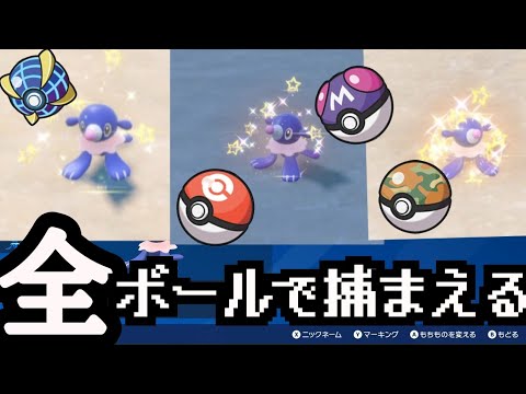 【ポケモンsv】色違いアシマリを全部のボールで捕まえる