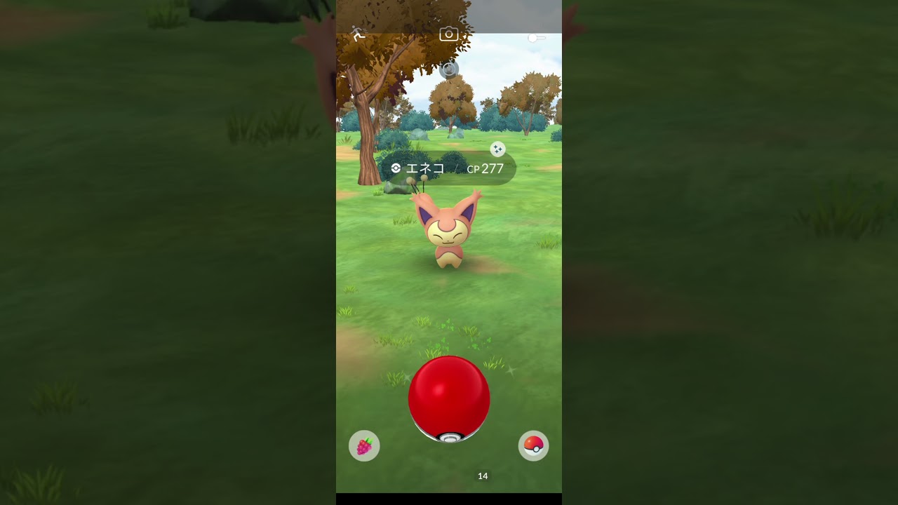 【ポケモンGO】ファッションウィーク エネコ色違い2体ゲット #ポケモンgo #pokemongo #エネコ