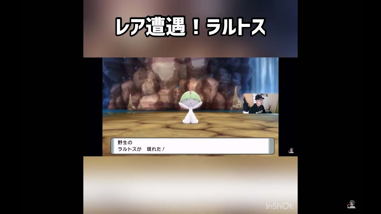 レア遭遇！？ラルトス   #shorts #ゲーム実況者 #ゲーム配信 #ゲーム実況 #ゲーム #ポケモン #ポケットモンスター #ダイパリメイク #ダイパ #ポケモン剣盾