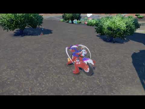 コロボーシ　色違い