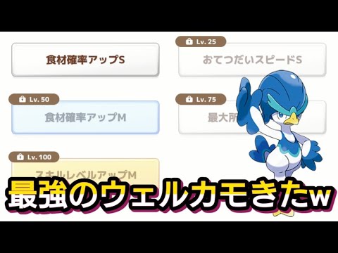 【ポケスリ】ネギ担当決定⁉このウェルカモ強すぎるｗ【ポケモンスリープ】【POKEMON】