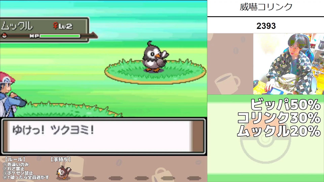 🔴朝の色違い厳選