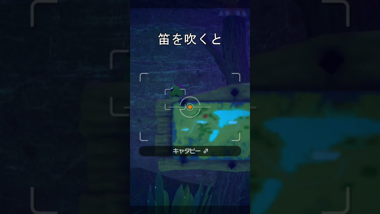 大量のキャタピー　#ポケモン #ポケモンスナップ #キャタピー