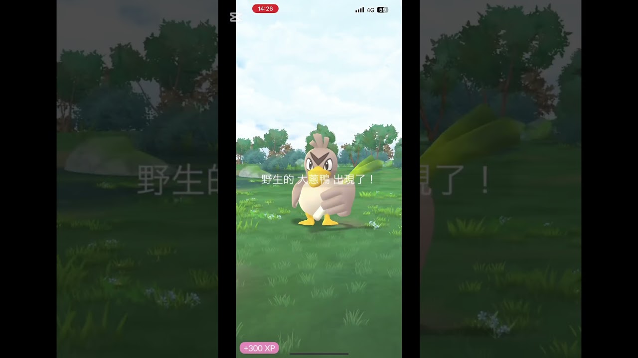 寶可夢GO  刺尾蟲🐛 駁二特區