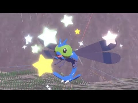 色違いヤンヤンマ